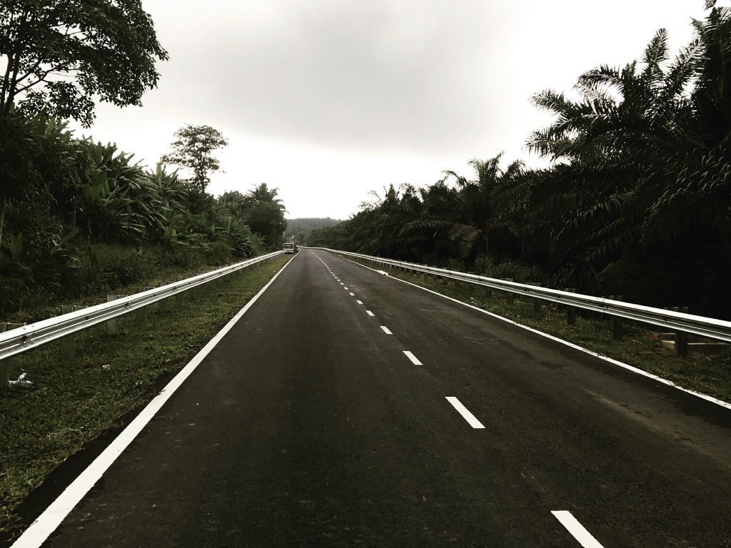 Road corridor with roadside guardrail